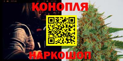 прущие грибы Старая Купавна