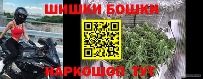 мдпв Ставрополь