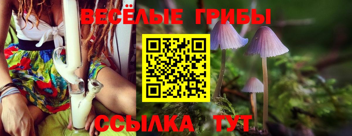 Псилоцибиновые грибы Cubensis  Вход с VPN  Псилоцибиновые грибы Magic Shrooms  Нефтекумск 